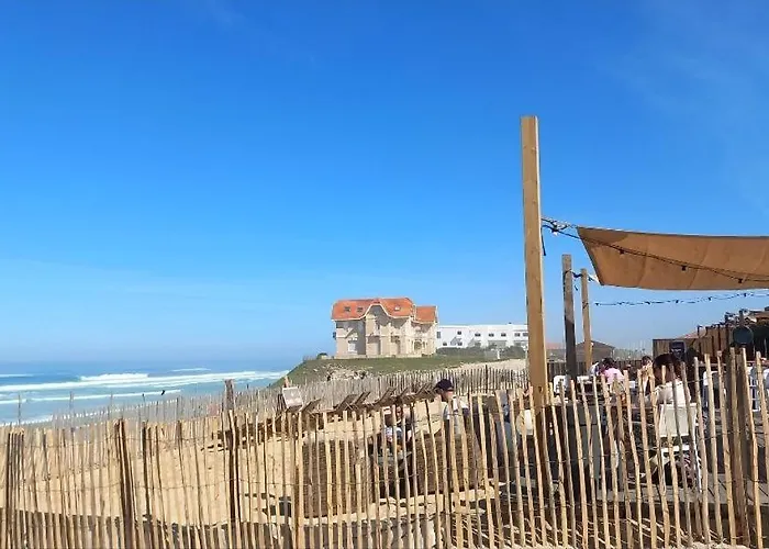 Appartement Cosy A Quelques Pas De L'ocean Biscarrosse